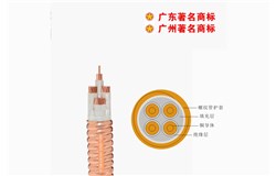 YTTW-0.6/1kV礦物質電纜